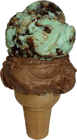 We make our own ice cream